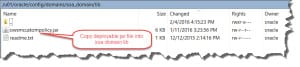 Copy JAR file to the WLS DOMAIN\lib directory